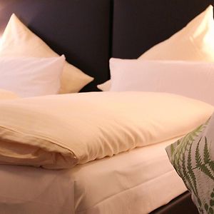 Superior Kamer met een King Size Bed